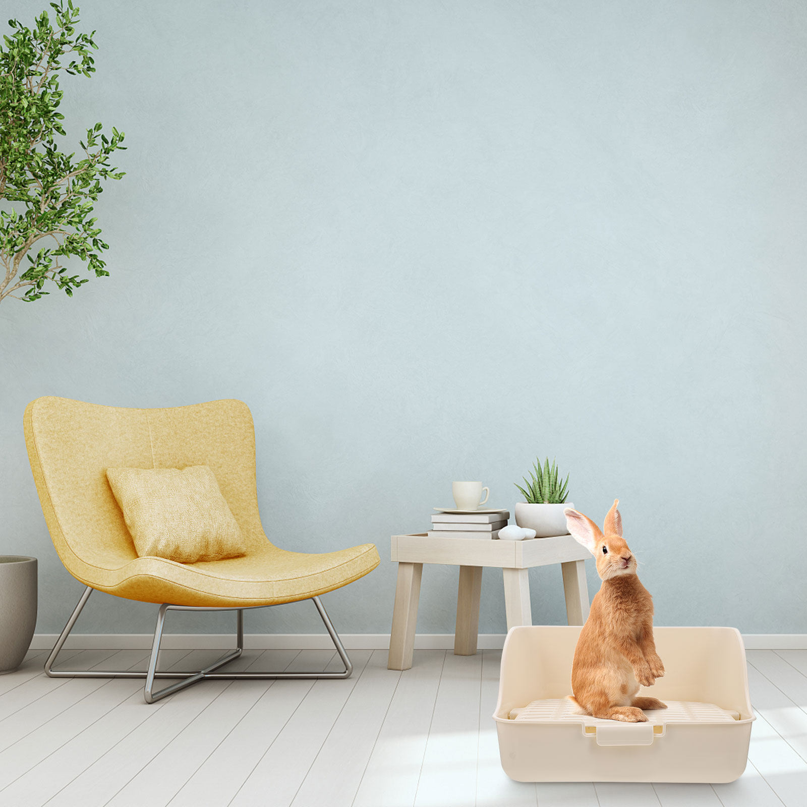 Furniture Quality Control - Petite toilette pour animaux de compagnie,